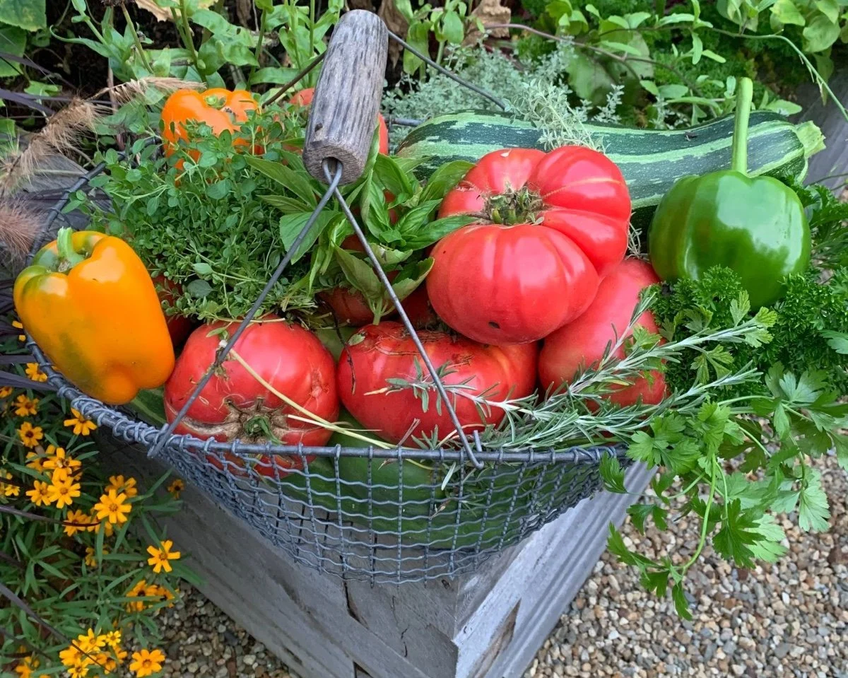 Best Crops for Calorie Density and Nutritional Value in Crisis