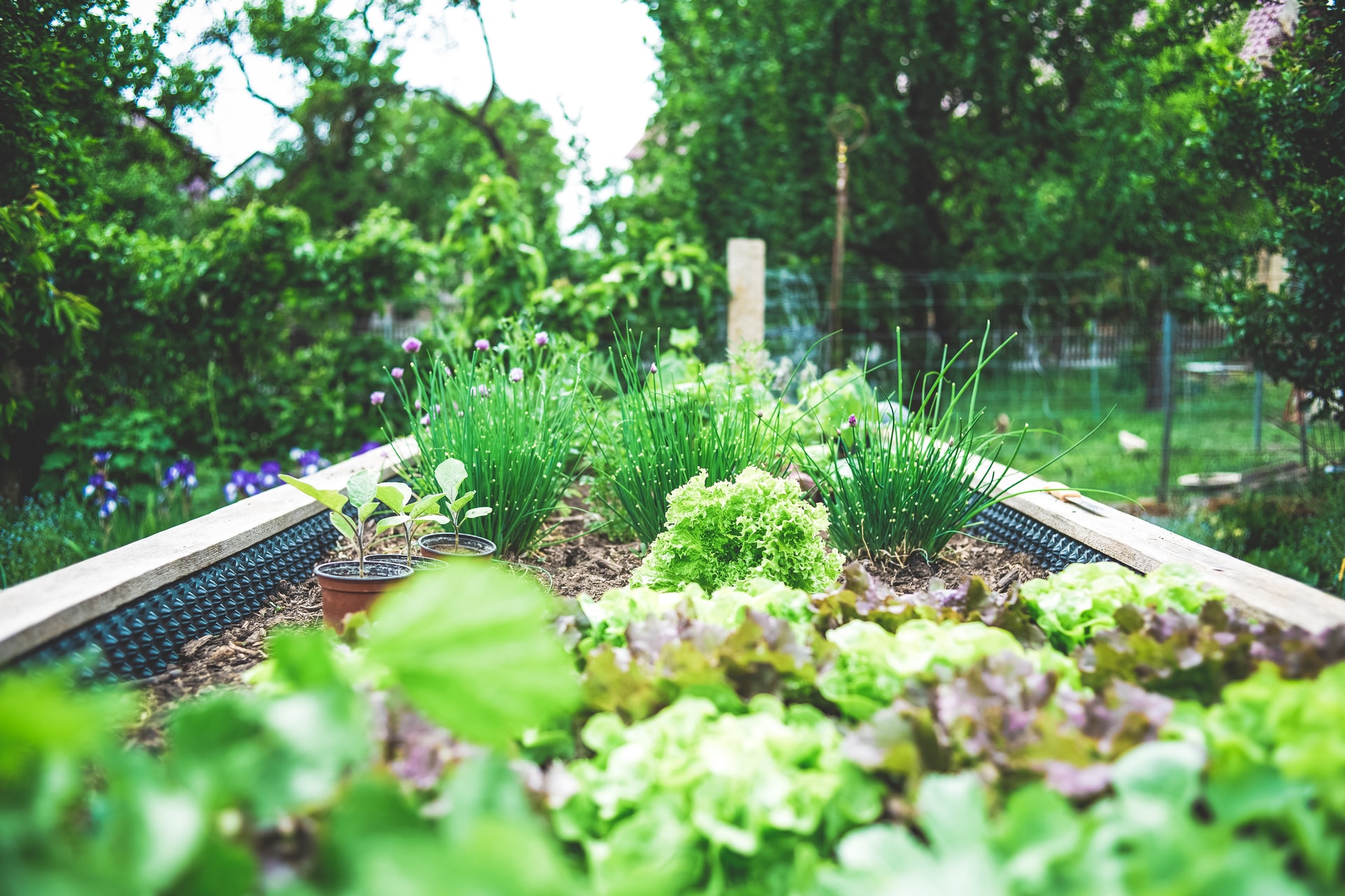 Composting, Soil Health, and Natural Pest Control for Survival Gardens