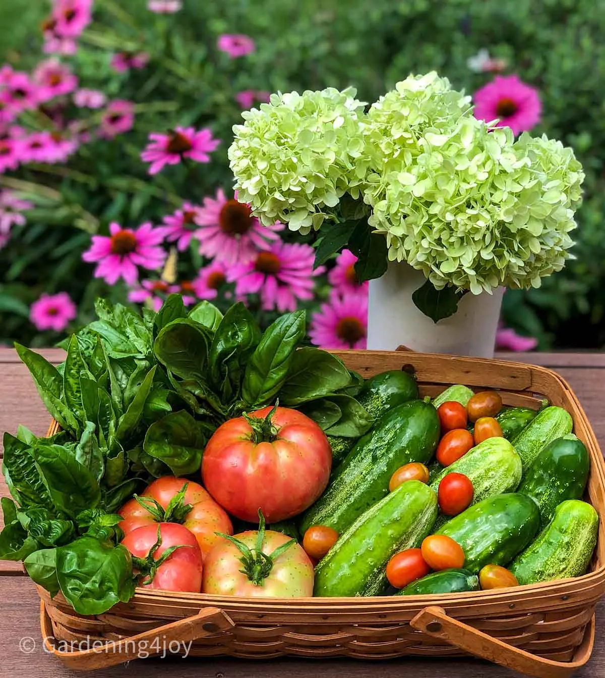 Watering and Irrigation Techniques When Resources Are Scarce