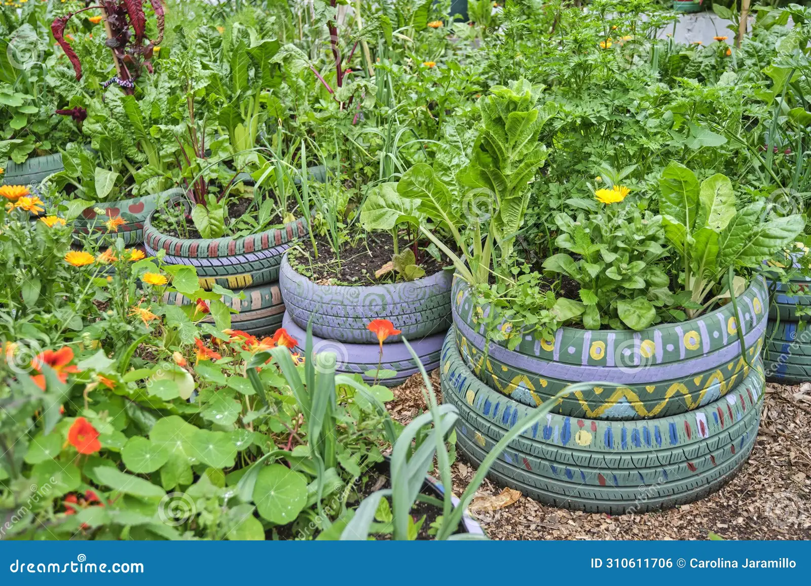 How to Store and Preserve Harvests Without Refrigeration