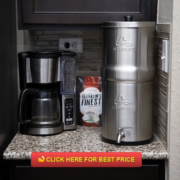 Alexapure Pro Review: Best Budget Water Filter for Preppers & Families